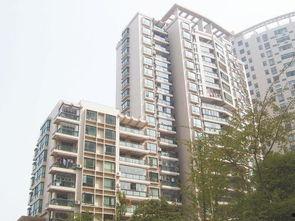 龙兴嘉苑爆料事件视频最新,揭秘事件真相与争议焦点