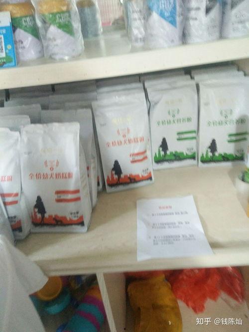 济南黑心宠物店爆料视频,视频曝光惊人内幕