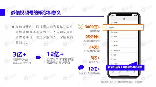 小满新皮肤爆料视频下载,翩翩起舞，春意盎然