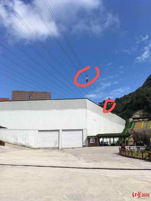 重庆万盛最新爆料,揭秘神秘事件背后的真相