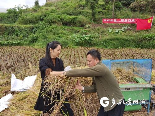 谷子爆料小石头视频,小石头视频揭秘幕后真相
