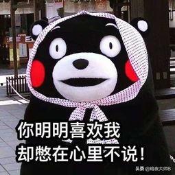 oni熊最新爆料,最新爆料背后的惊人真相