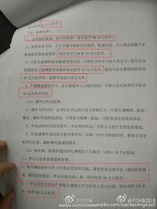 陕西商洛最新爆料,揭秘神秘事件背后的真相
