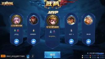 豆瓣爆料王者荣耀视频,揭秘游戏幕后制作，豆瓣爆料视频深度解析
