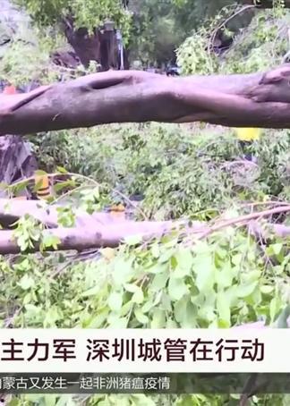 山竹爆料深圳视频大全,深圳视频大全揭秘城市魅力瞬间