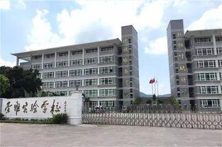 惠州市中学爆料事件视频,真相与反思