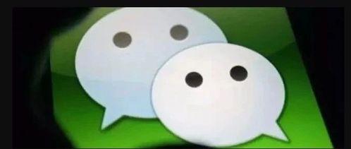 加微信免费吃瓜,免费畅享美味瓜果盛宴！