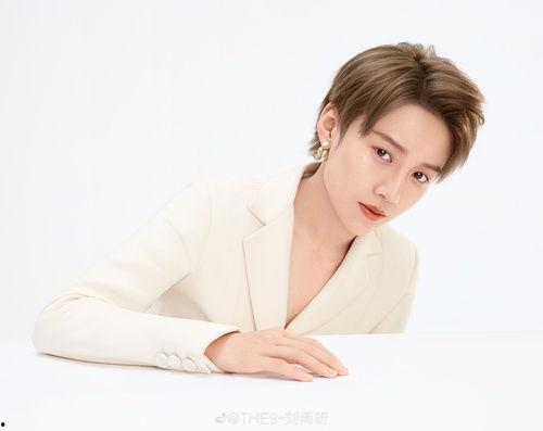 刘雨昕娱乐圈爆料,揭秘明星幕后故事