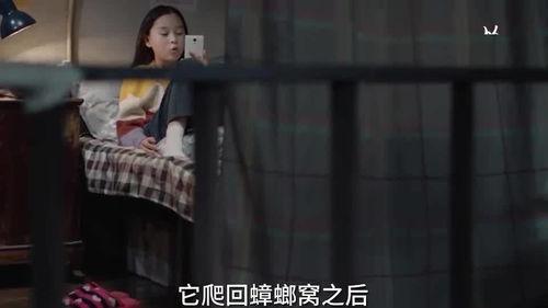 小孩失踪爆料视频大全集,揭秘网络爆料视频背后的真相
