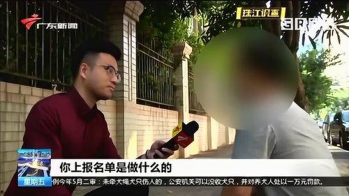 老师媳妇爆料视频,老师媳妇爆料视频背后的惊人真相