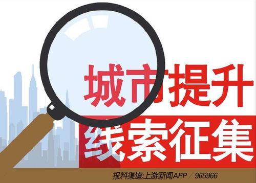 今日新闻爆料电话,最新爆料电话曝光惊人内幕