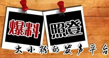 有没有新闻爆料的地方,探寻信息源头的神秘之地