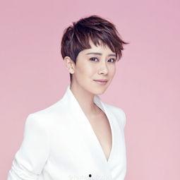 张进爆料徐佳助理视频,真相与争议